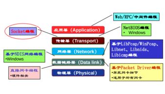 哈工大计算机网络Week2 网络应用数据交换与计算机编程