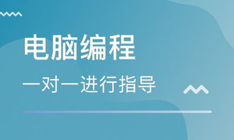 天津青少年编程教育选择指南 探析CS培训价格与机构优劣